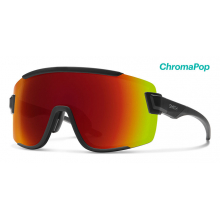 Wildcat by Smith Optics in Fort Collins CO